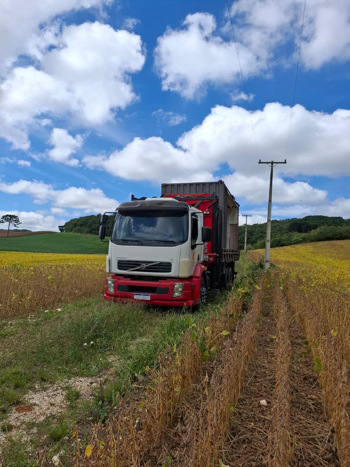 Caminhão munck Volvo VM 260 transportando container em área rural na Região Metropolitana de Curitiba